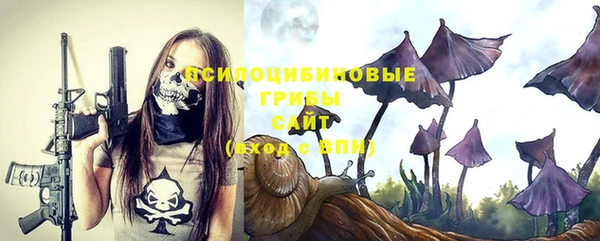 ешки Лагань